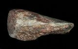 Polished Agatized Dinosaur Bone - Colorado #38343-1